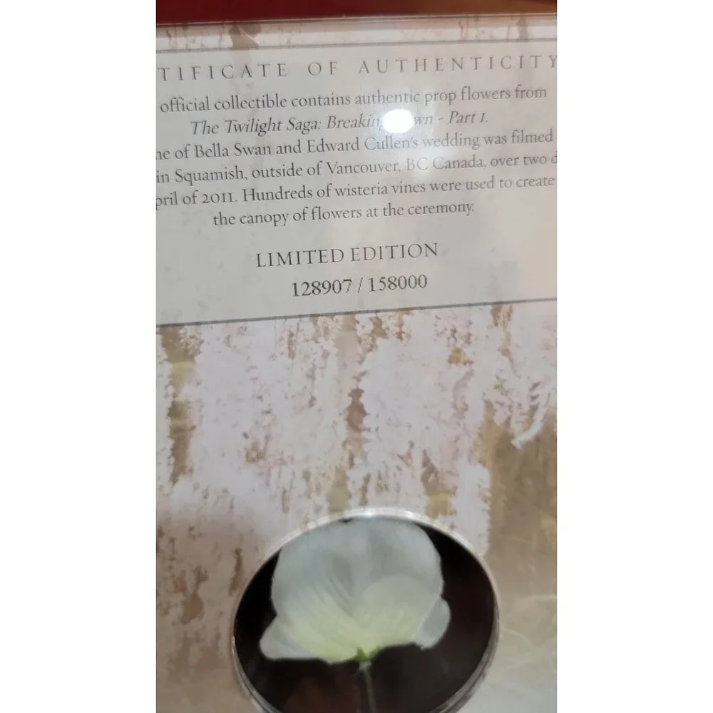 Limited Edition The Twilight Saga:  Breaking Dawn - Part 1 Wedding Photo with Mo - Picture 4 of 10